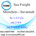 Shenzhen Port Sea Freight Versand nach Savannah